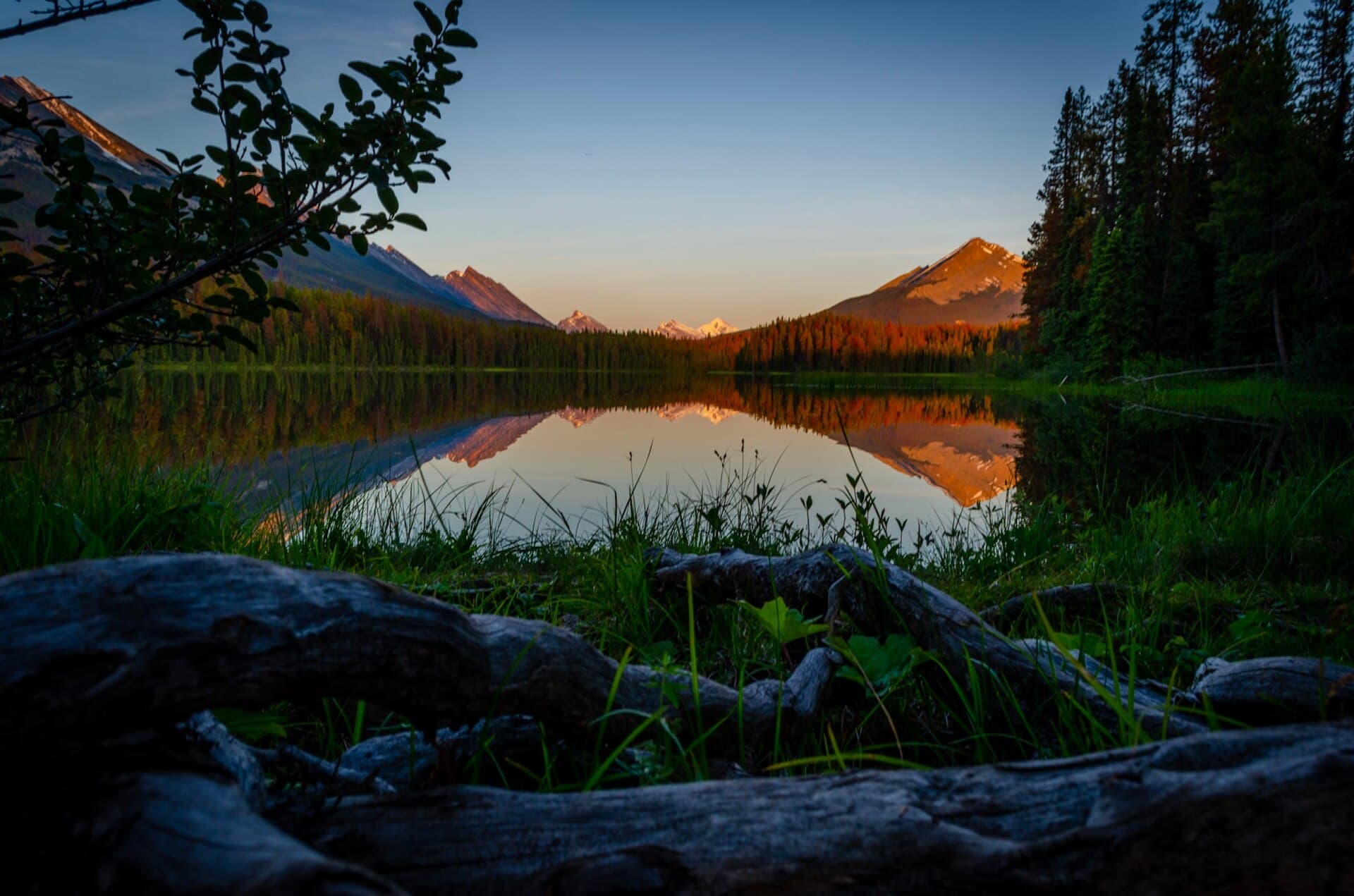 Campings en Jasper: cuál elegir