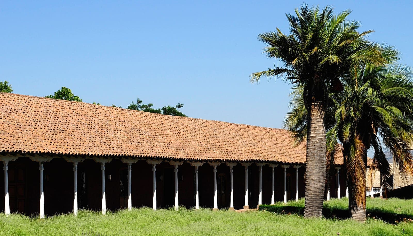 Viñas cerca de Santiago: cómo visitarlas en un día